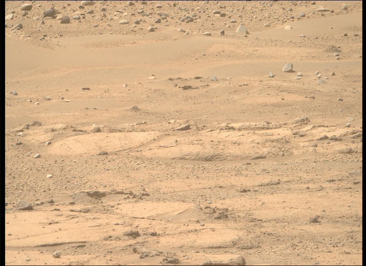This image was taken by MCZ_RIGHT onboard NASA's Mars rover Perseverance on Sol 743