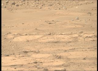 View image taken on Mars, Mars Perseverance Sol 743: Right Mastcam-Z Camera