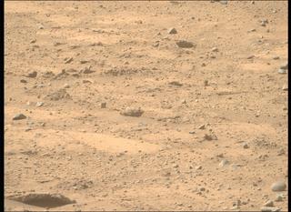 View image taken on Mars, Mars Perseverance Sol 743: Right Mastcam-Z Camera