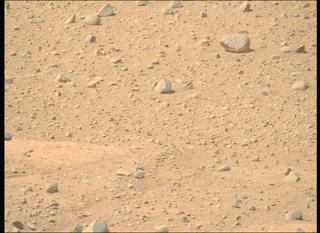View image taken on Mars, Mars Perseverance Sol 743: Right Mastcam-Z Camera