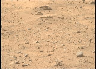 View image taken on Mars, Mars Perseverance Sol 743: Right Mastcam-Z Camera