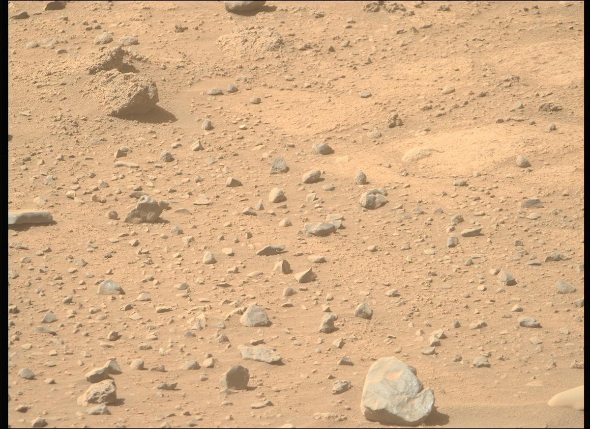 This image was taken by MCZ_RIGHT onboard NASA's Mars rover Perseverance on Sol 743