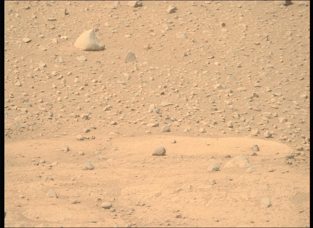 This image was taken by MCZ_RIGHT onboard NASA's Mars rover Perseverance on Sol 743