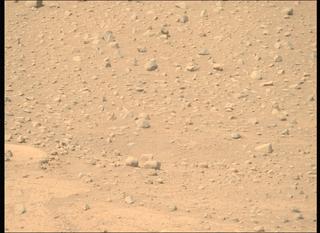 View image taken on Mars, Mars Perseverance Sol 743: Right Mastcam-Z Camera
