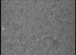 View image taken on Mars, Mars Perseverance Sol 745: WATSON Camera 
