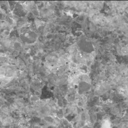 This image was taken by SHERLOC_ACI onboard NASA's Mars rover Perseverance on Sol 747