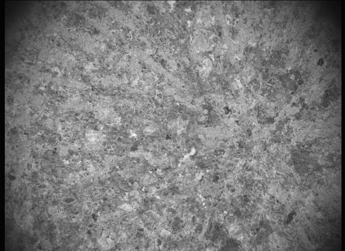 This image was taken by SHERLOC_ACI onboard NASA's Mars rover Perseverance on Sol 747