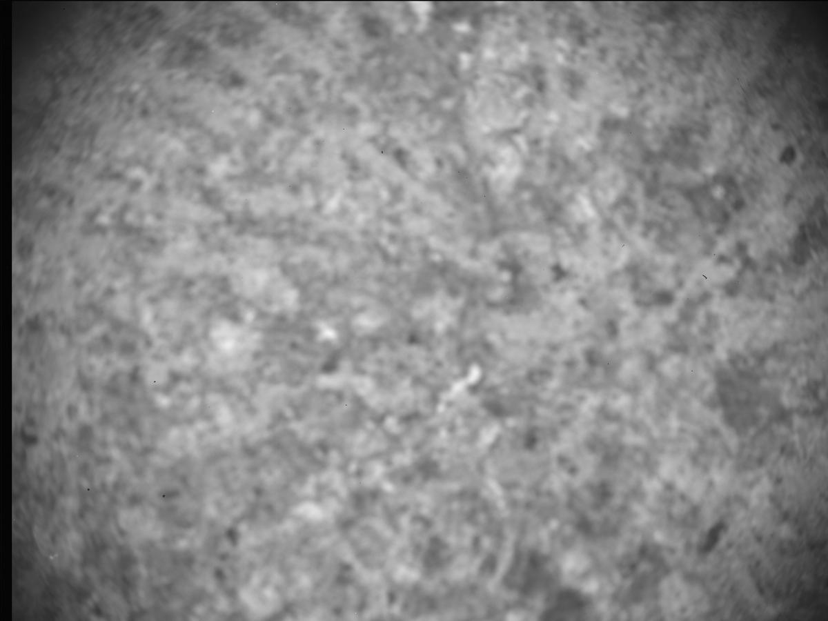 This image was taken by SHERLOC_ACI onboard NASA's Mars rover Perseverance on Sol 747