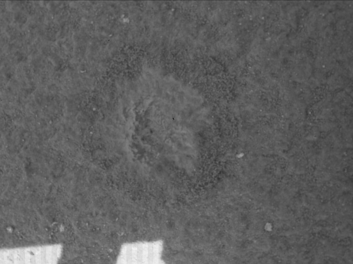 This image was taken by SHERLOC_WATSON onboard NASA's Mars rover Perseverance on Sol 747