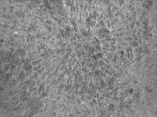 View image taken on Mars, Mars Perseverance Sol 747: WATSON Camera 