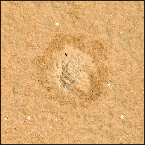 This image was taken by SHERLOC_WATSON onboard NASA's Mars rover Perseverance on Sol 747