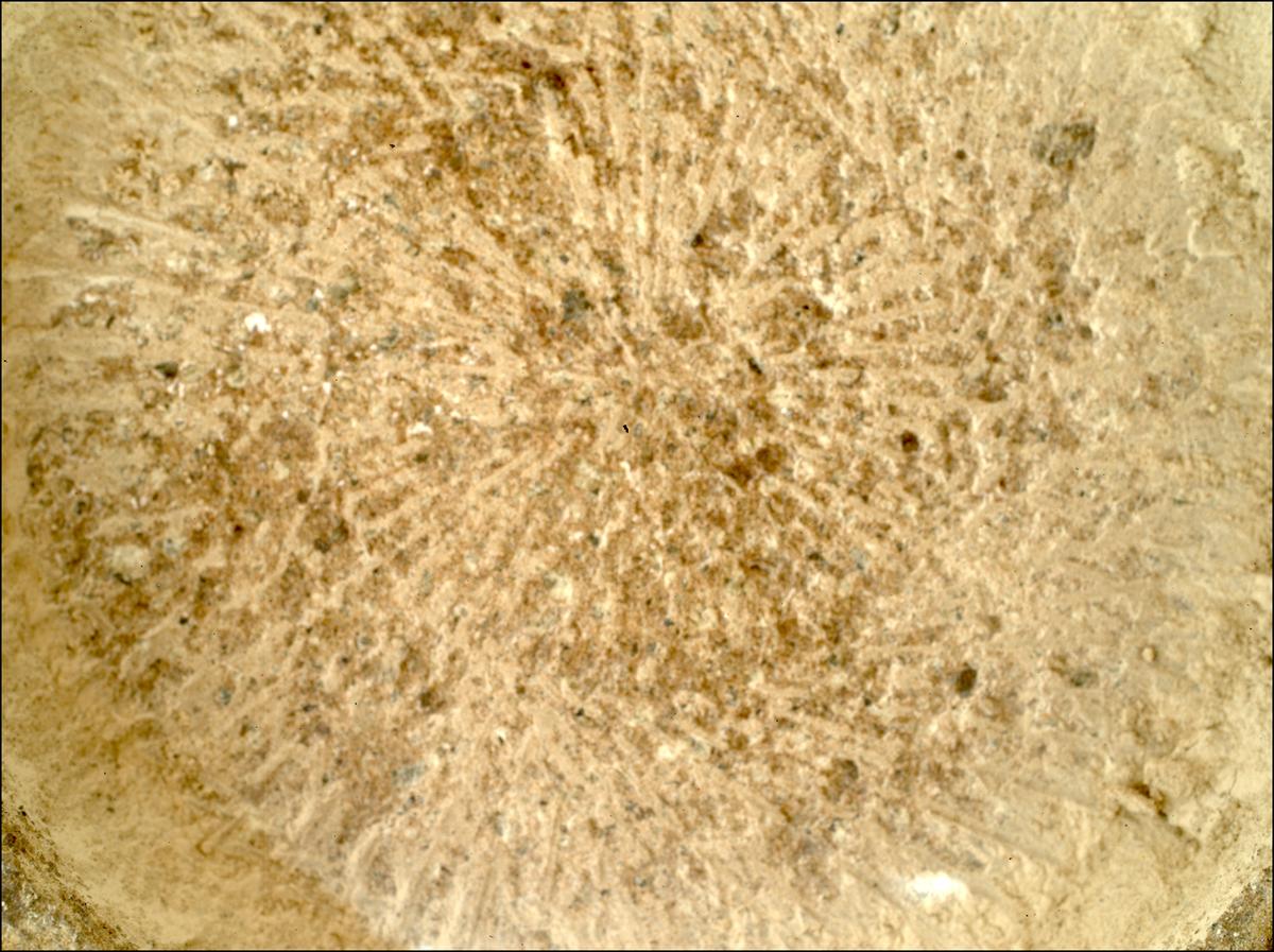 This image was taken by SHERLOC_WATSON onboard NASA's Mars rover Perseverance on Sol 747