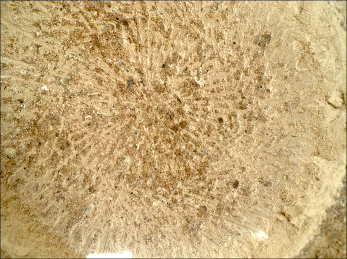 This image was taken by SHERLOC_WATSON onboard NASA's Mars rover Perseverance on Sol 747