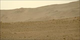 View image taken on Mars, Mars Perseverance Sol 748: Left Mastcam-Z Camera