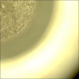 View image taken on Mars, Mars Perseverance Sol 749: Sample Caching System Camera (CacheCam)