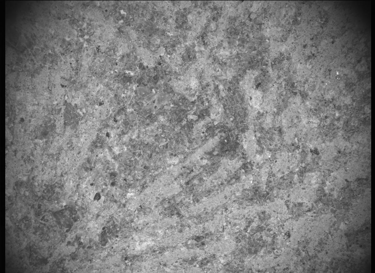 This image was taken by SHERLOC_ACI onboard NASA's Mars rover Perseverance on Sol 751