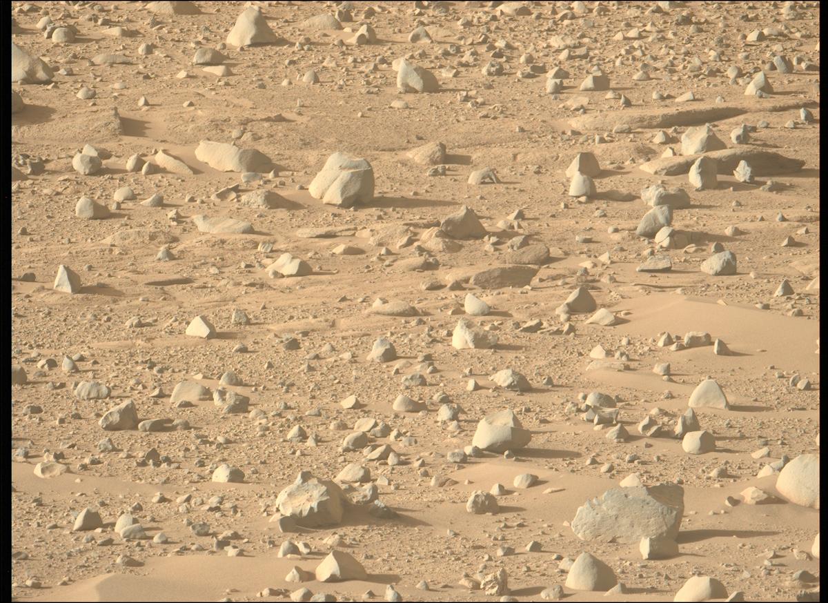 This image was taken by MCZ_LEFT onboard NASA's Mars rover Perseverance on Sol 762
