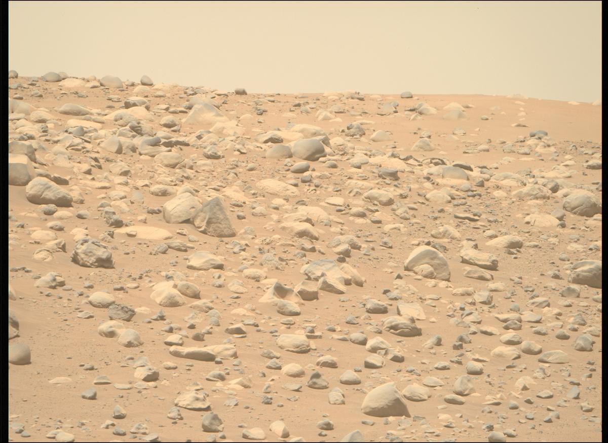 This image was taken by MCZ_RIGHT onboard NASA's Mars rover Perseverance on Sol 763