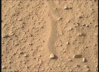 View image taken on Mars, Mars Perseverance Sol 763: Right Mastcam-Z Camera