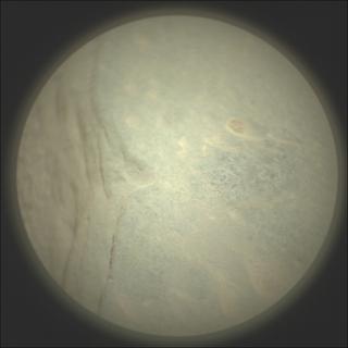 View image taken on Mars, Mars Perseverance Sol 764: SuperCam Camera