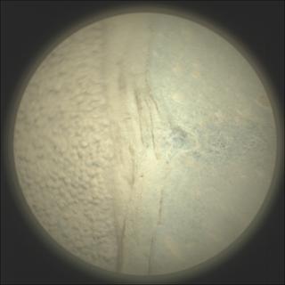 View image taken on Mars, Mars Perseverance Sol 764: SuperCam Camera
