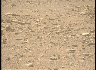 View image taken on Mars, Mars Perseverance Sol 764: Left Mastcam-Z Camera