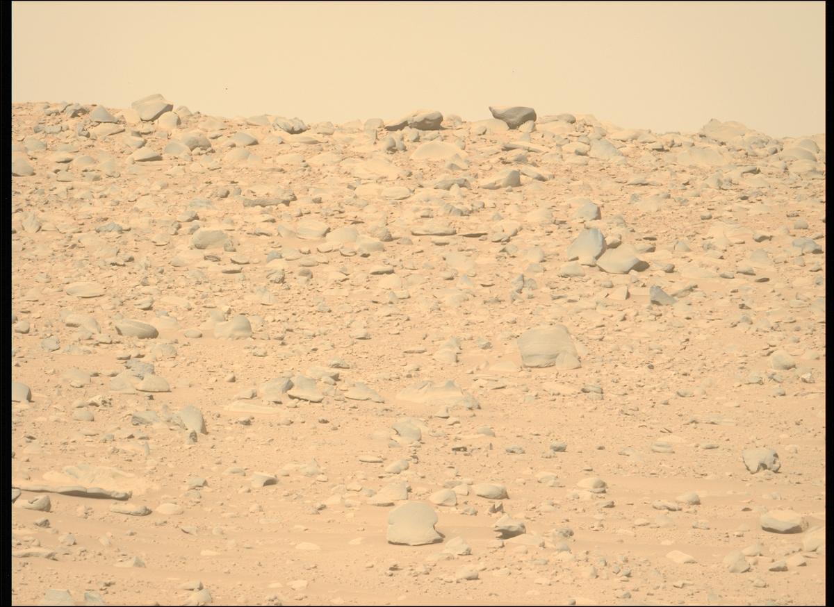 This image was taken by MCZ_LEFT onboard NASA's Mars rover Perseverance on Sol 764