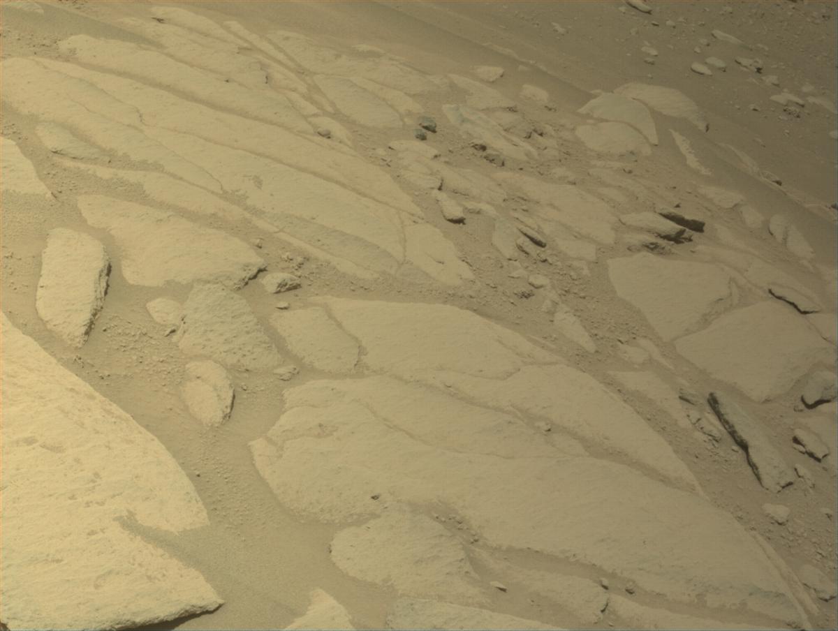 This image was taken by NAVCAM_LEFT onboard NASA's Mars rover Perseverance on Sol 768