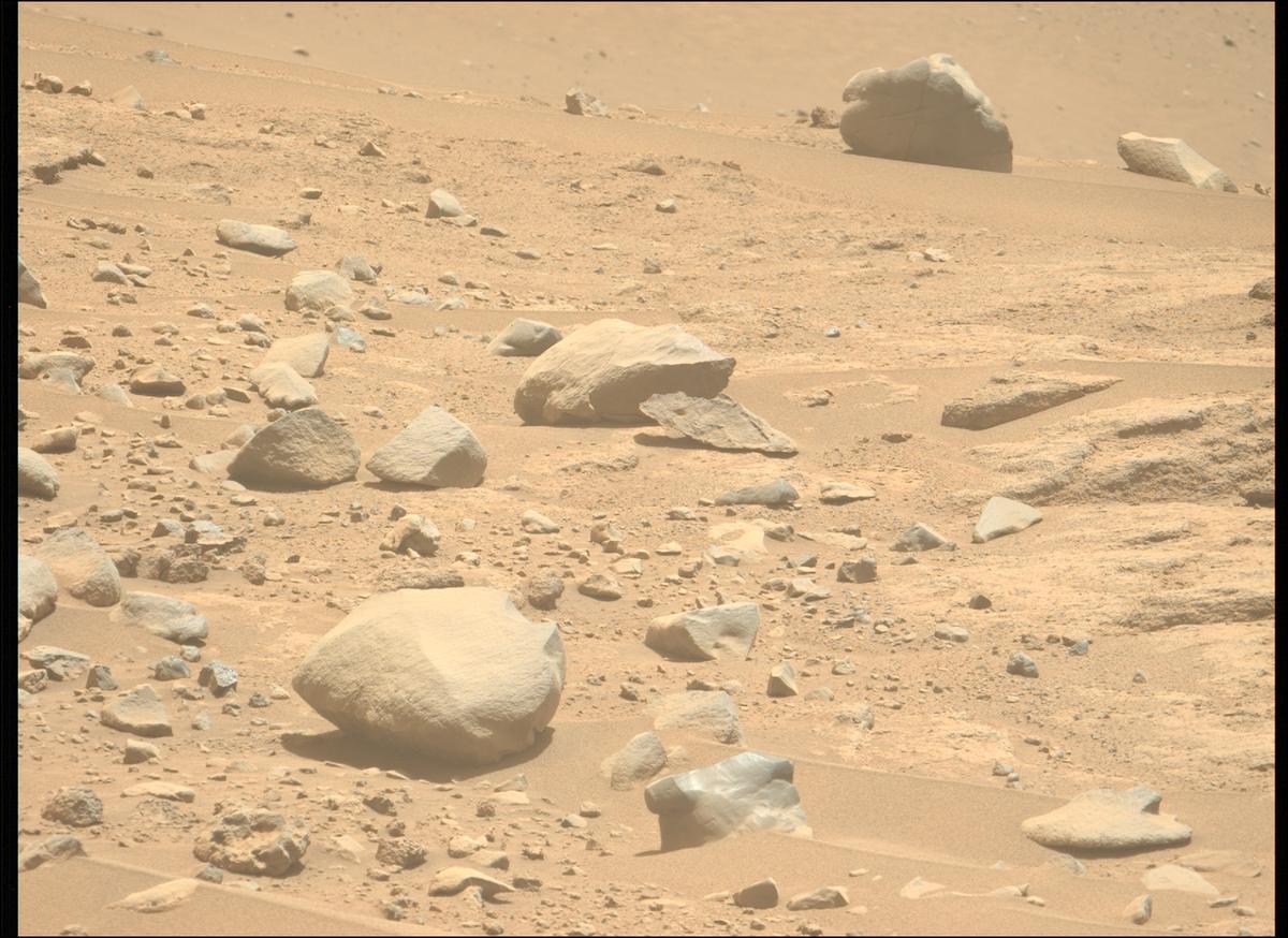 This image was taken by MCZ_LEFT onboard NASA's Mars rover Perseverance on Sol 768