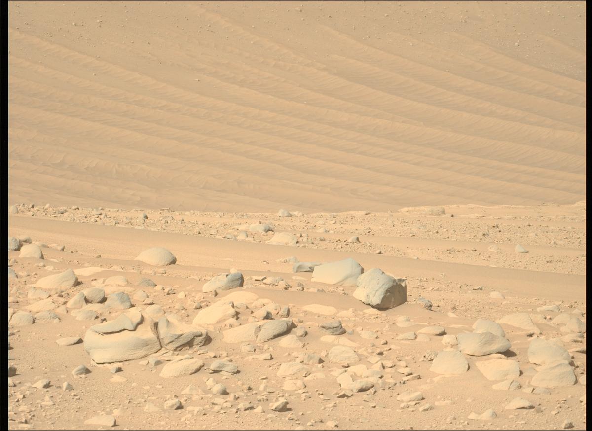 This image was taken by MCZ_LEFT onboard NASA's Mars rover Perseverance on Sol 768