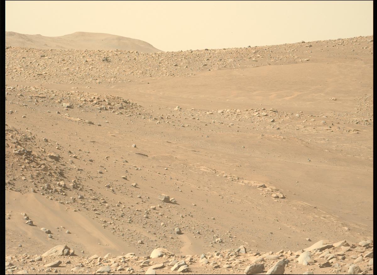 This image was taken by MCZ_LEFT onboard NASA's Mars rover Perseverance on Sol 768