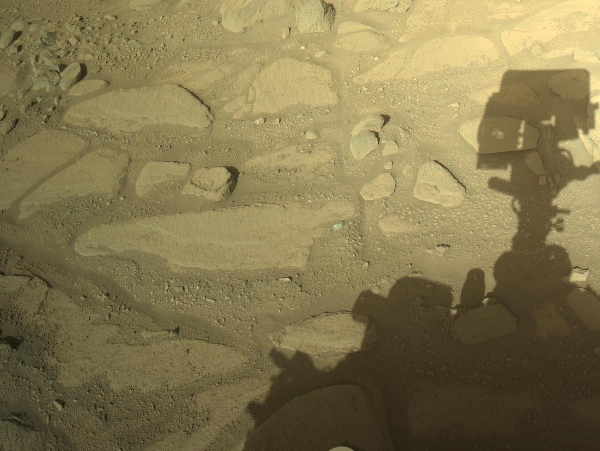 This image was taken by NAVCAM_RIGHT onboard NASA's Mars rover Perseverance on Sol 770