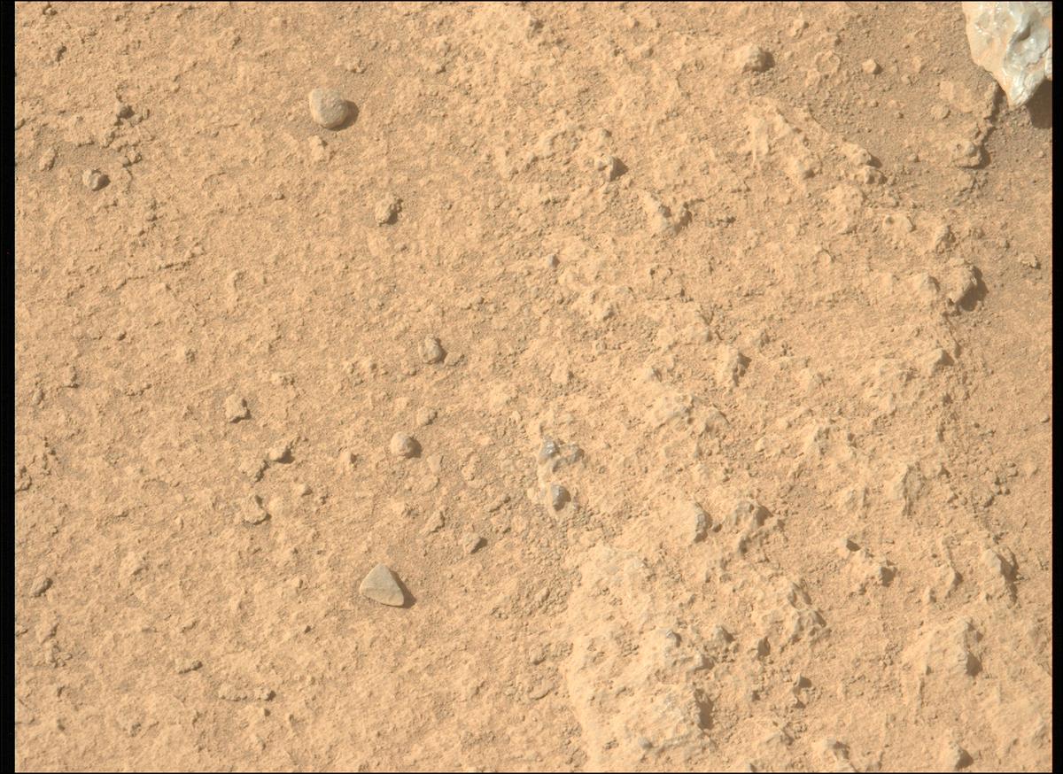 This image was taken by MCZ_LEFT onboard NASA's Mars rover Perseverance on Sol 770