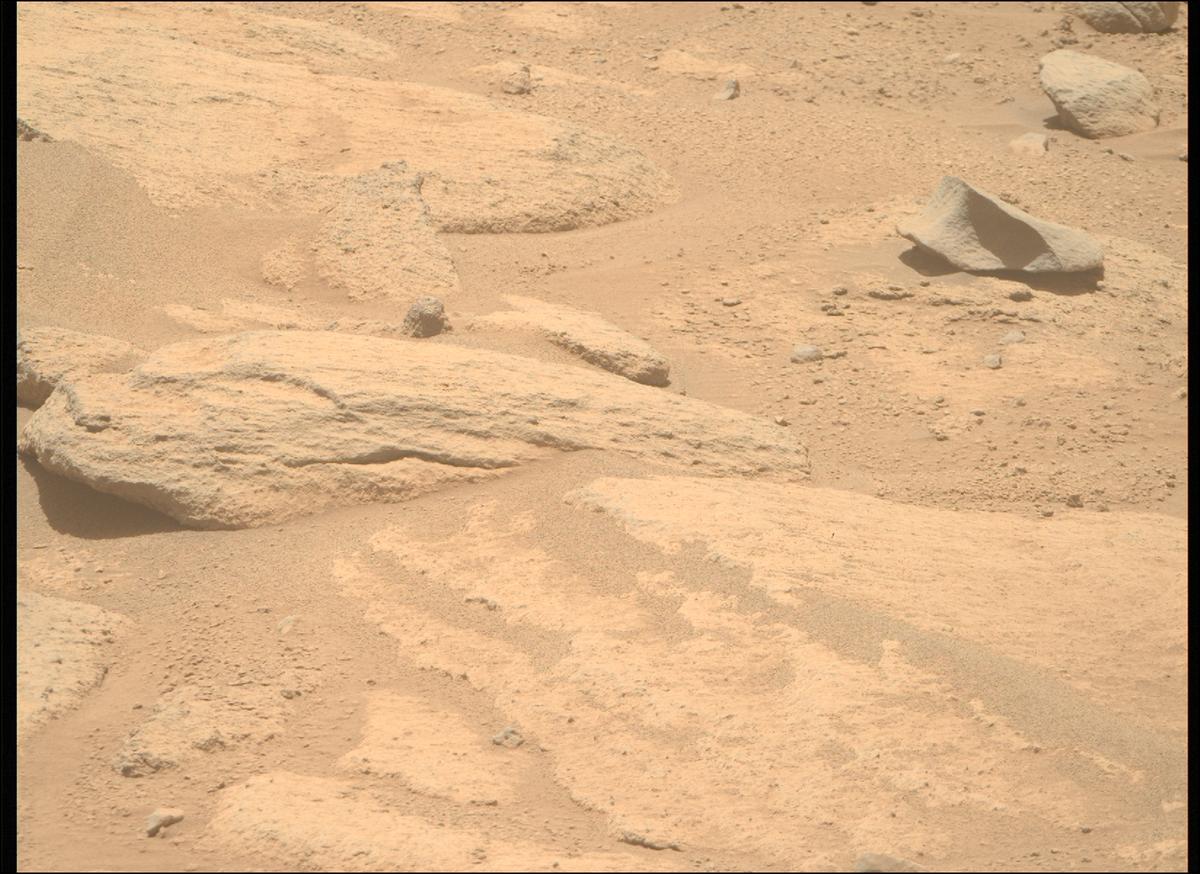 This image was taken by MCZ_RIGHT onboard NASA's Mars rover Perseverance on Sol 770