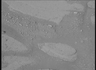 View image taken on Mars, Mars Perseverance Sol 770: Right Mastcam-Z Camera