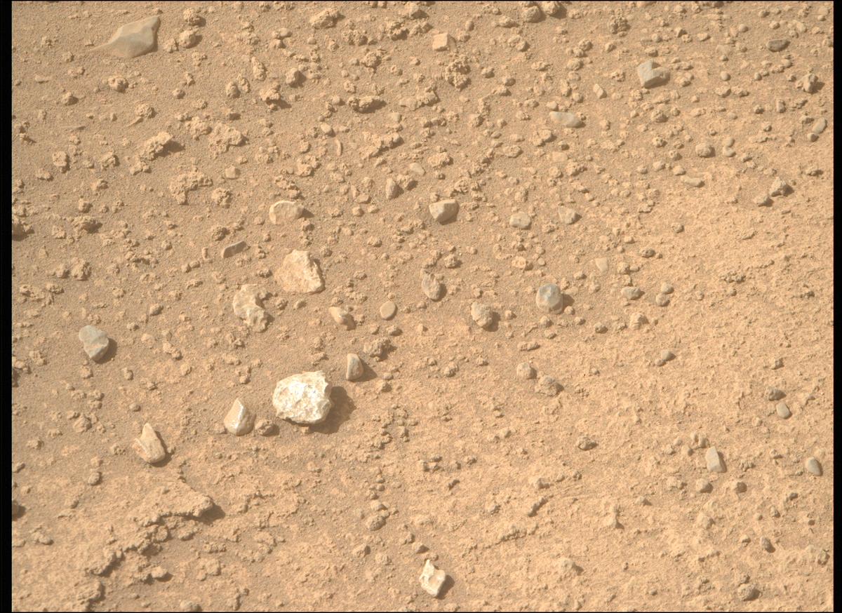 This image was taken by MCZ_RIGHT onboard NASA's Mars rover Perseverance on Sol 770