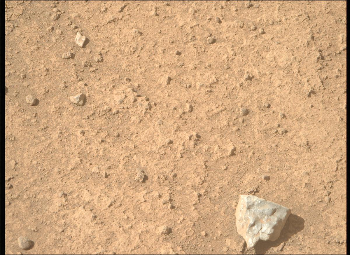 This image was taken by MCZ_RIGHT onboard NASA's Mars rover Perseverance on Sol 770