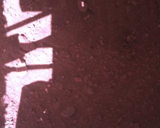 View image taken on Mars, Mars Perseverance Sol 773: Rover Down-Look Camera