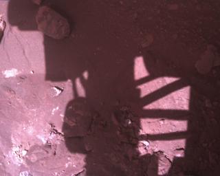 View image taken on Mars, Mars Perseverance Sol 773: Rover Down-Look Camera