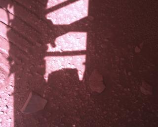 View image taken on Mars, Mars Perseverance Sol 773: Rover Down-Look Camera