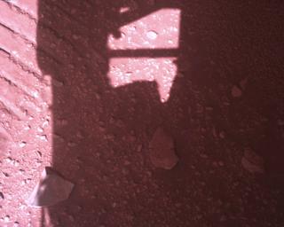 View image taken on Mars, Mars Perseverance Sol 773: Rover Down-Look Camera