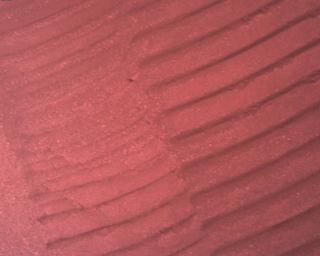 View image taken on Mars, Mars Perseverance Sol 773: Rover Down-Look Camera