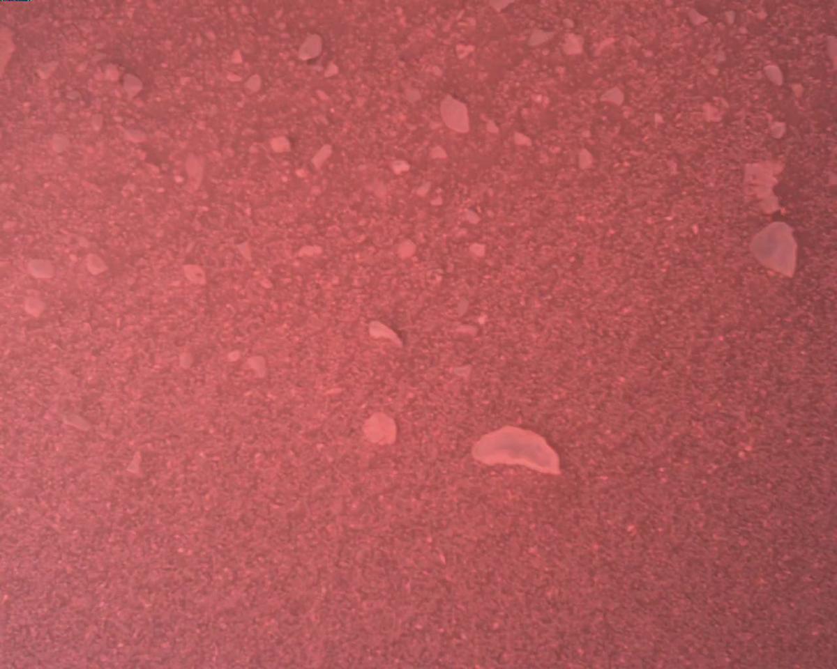 This image was taken by EDL_RDCAM onboard NASA's Mars rover Perseverance on Sol 773