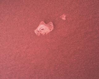 View image taken on Mars, Mars Perseverance Sol 773: Rover Down-Look Camera