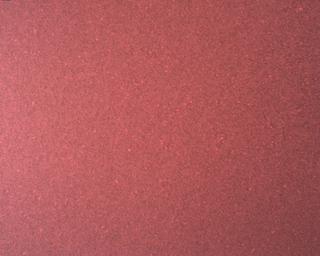 View image taken on Mars, Mars Perseverance Sol 773: Rover Down-Look Camera