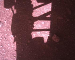 View image taken on Mars, Mars Perseverance Sol 773: Rover Down-Look Camera