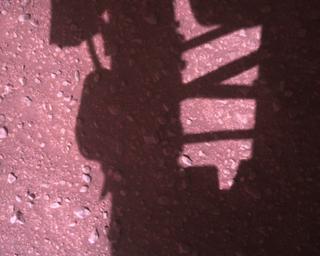 View image taken on Mars, Mars Perseverance Sol 773: Rover Down-Look Camera