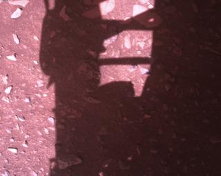 View image taken on Mars, Mars Perseverance Sol 773: Rover Down-Look Camera
