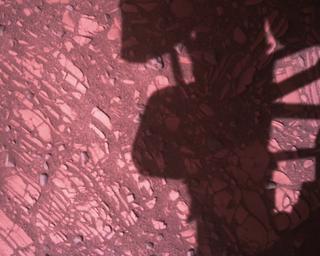 View image taken on Mars, Mars Perseverance Sol 773: Rover Down-Look Camera