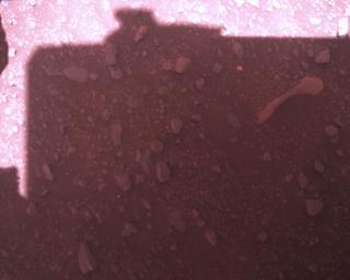 View image taken on Mars, Mars Perseverance Sol 773: Rover Down-Look Camera